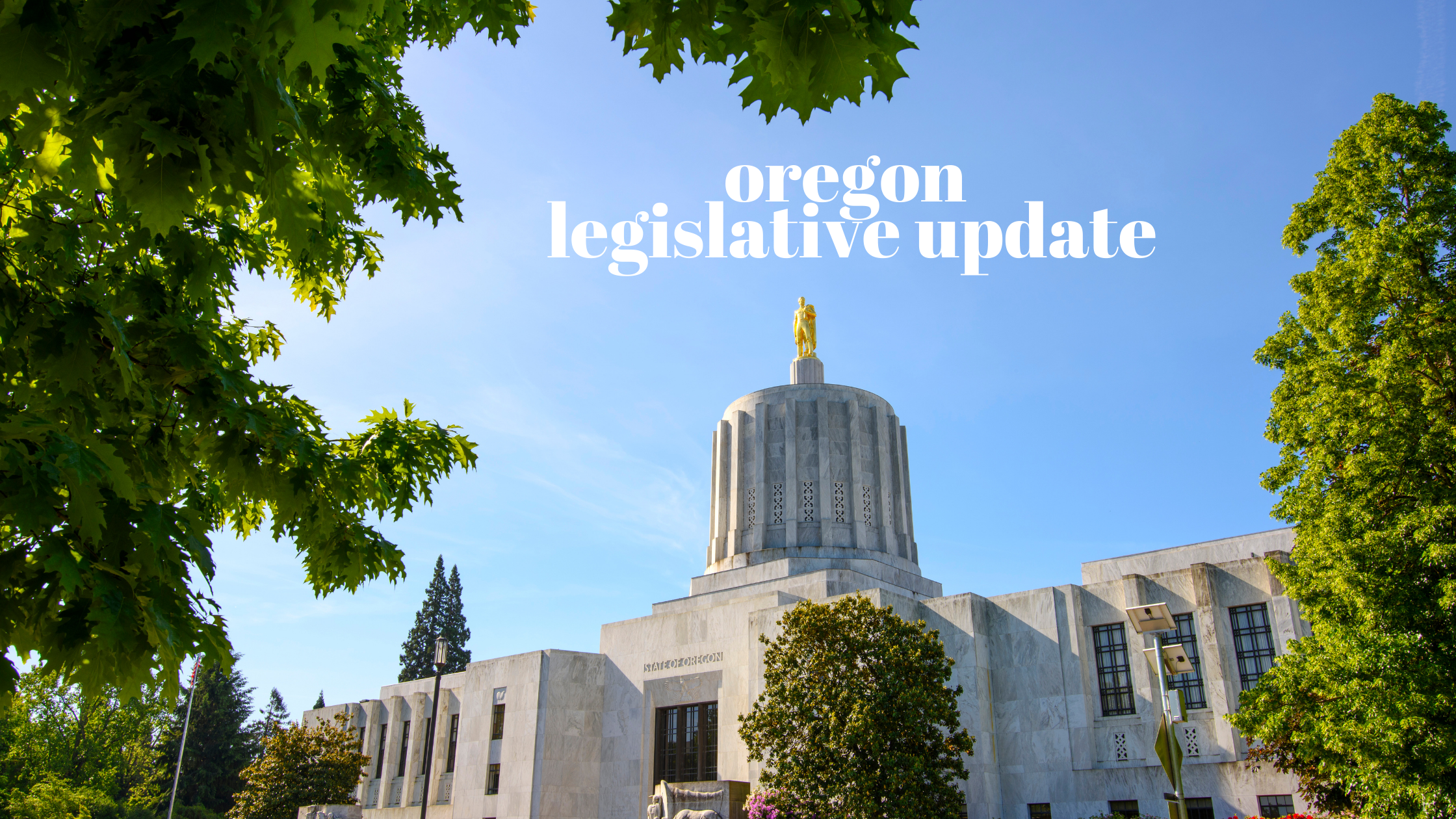 Oregon Legislative Update (Part 3):  What You Need To Know About SB 1015