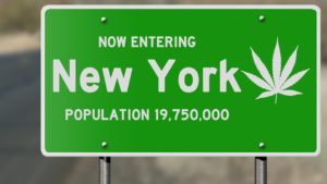 New York Header Image