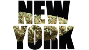 New York Cannabis text on a dark background - October 2021