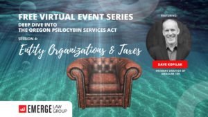Deep Dive 4 Entity Orgs Taxes Blog - April 2022