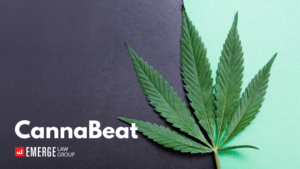 CannaBeat Featured Image - July 2022
