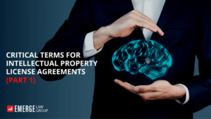 Critical Terms IP License Agreements