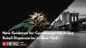 New NY Guidance Blog Banner - November 202