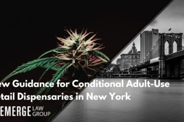 New Guidance for Conditional Adult-Use Retail Dispensaries in New York