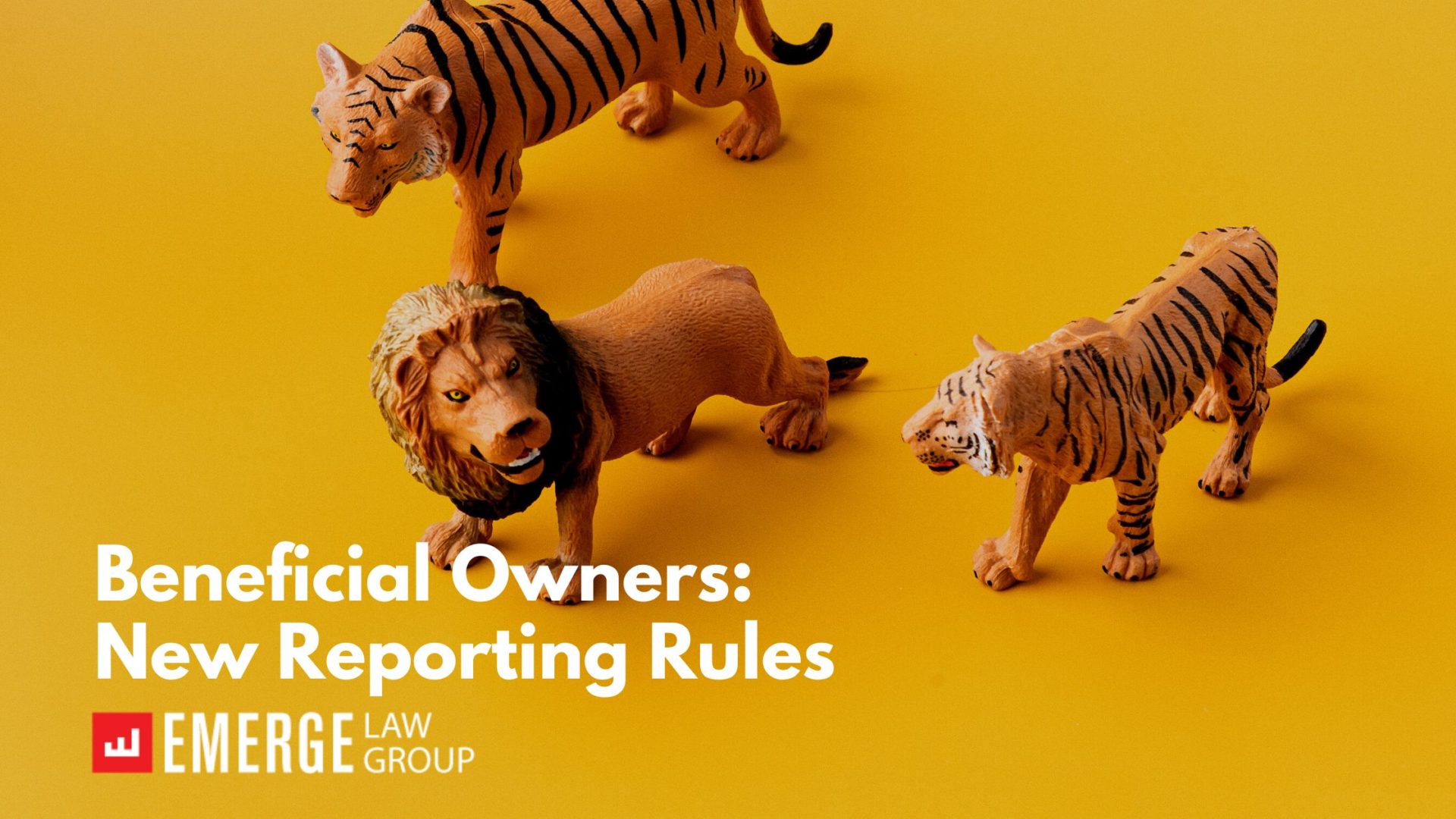 Beneficial Owners – New Reporting Rules