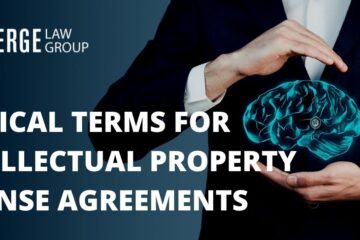 Critical Terms for Intellectual Property License Agreements (Part 2)