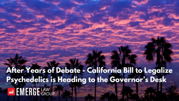 Title slide with text that says "After Years of Debate - California Bill to Legalize Psychedelics is Heading to the Governor’s Desk" overlaid on a background photo of palm trees and a blue and pink cloud sky